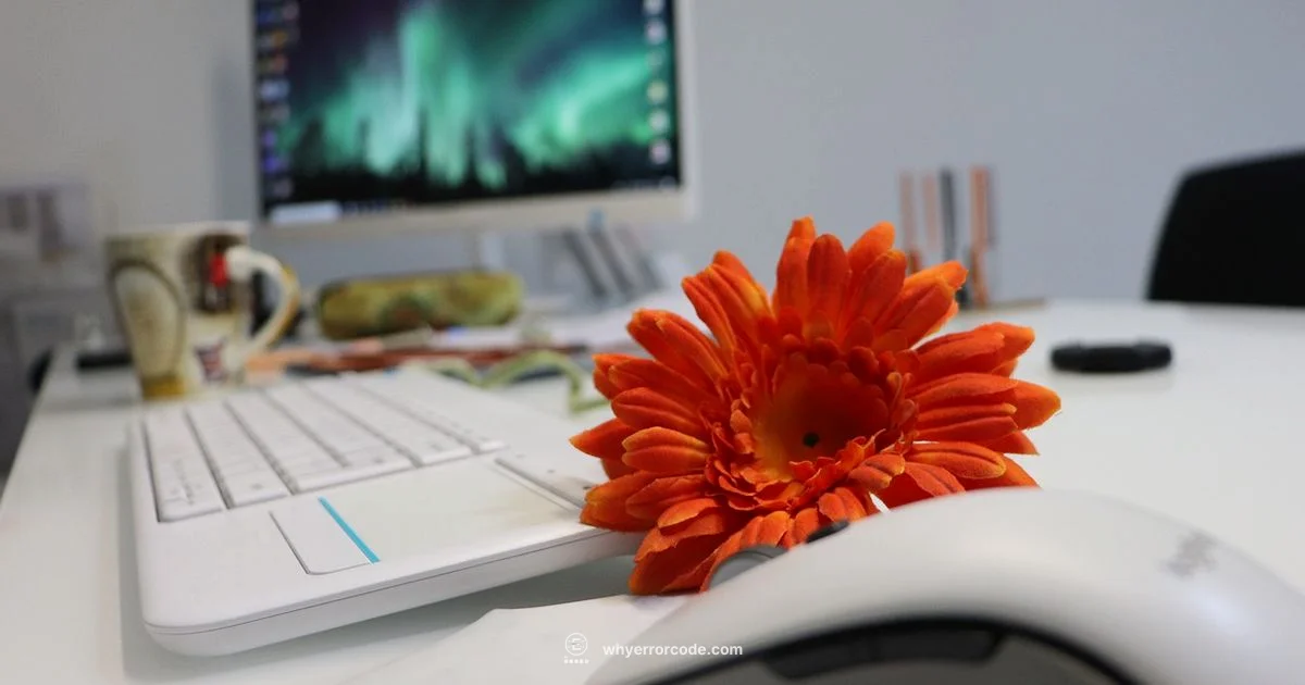 Urgent RDP Fix - Why Error Code