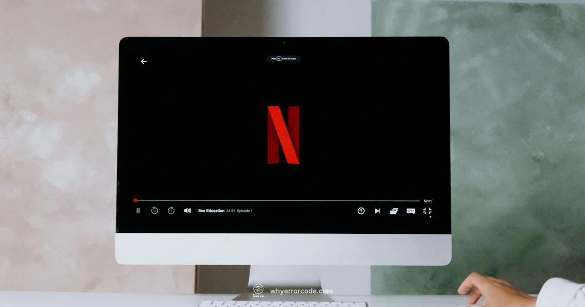 E87 Steam Fix - Why Error Code