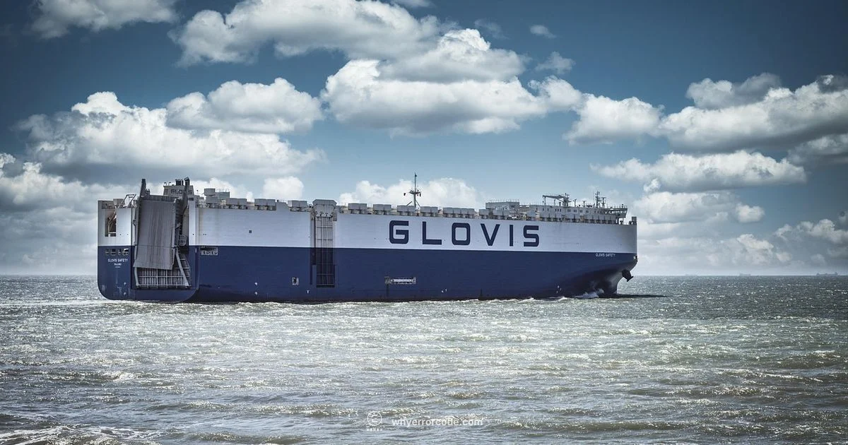 OBD‑II Reader Guide OBD‑II Reader Guide - Why Error Code