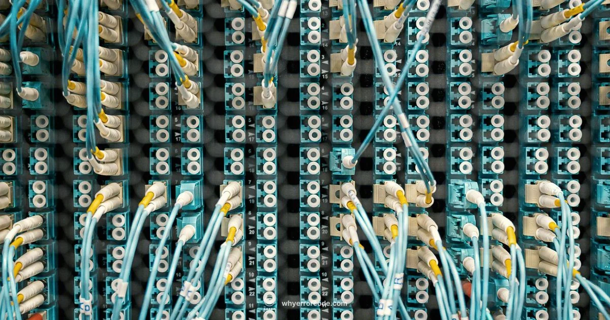 Backend 3-243 Insight - Why Error Code