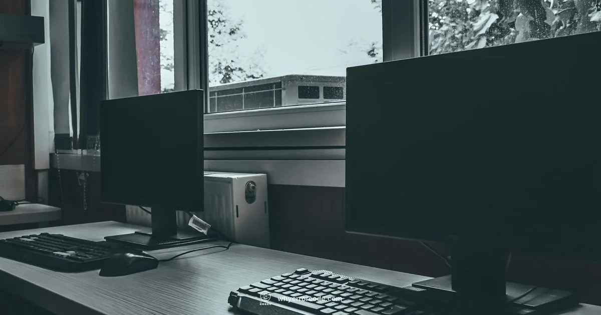 HP Printer Error EBS00P0013 - Why Error Code