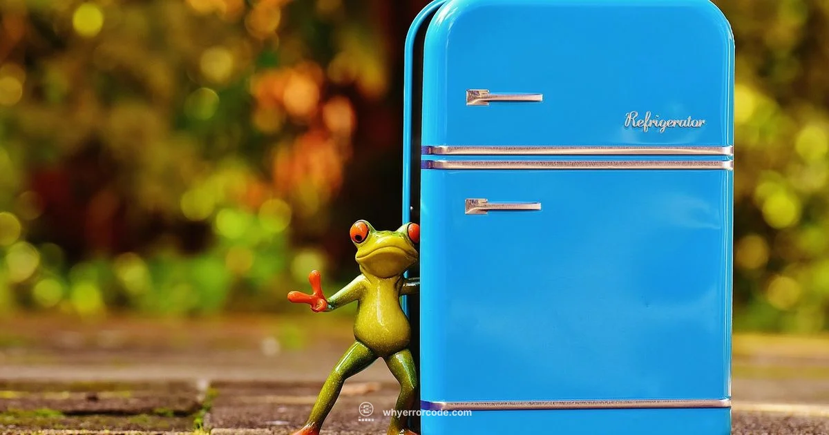 4 Blink Fix - Why Error Code