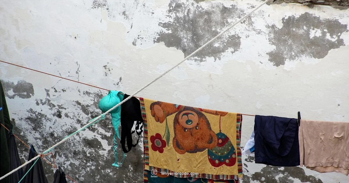 3c Diagnostic Guide 3c Diagnostic Guide - Why Error Code