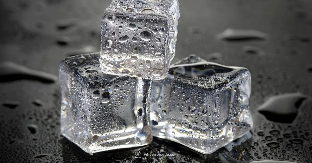 Ice Machine Error Fix - Why Error Code