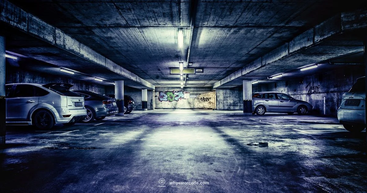 Vehicle Diagnostic Reader - Why Error Code