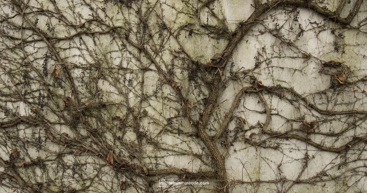 Creeper Error Guide Creeper Error Guide - Why Error Code