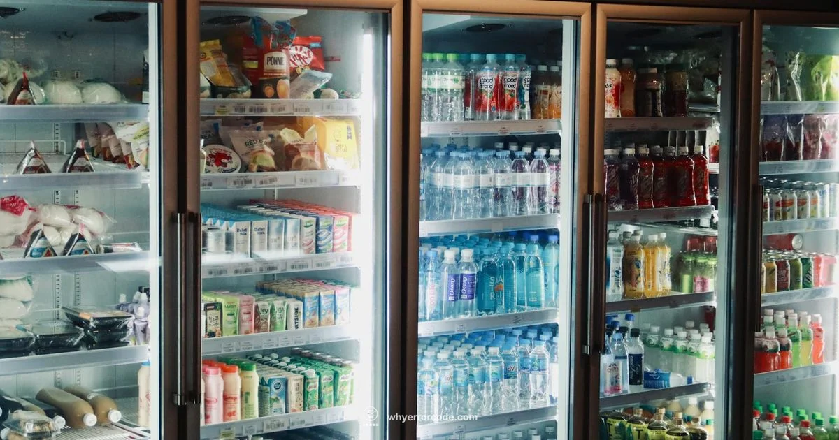 Fridge Error Fix - Why Error Code