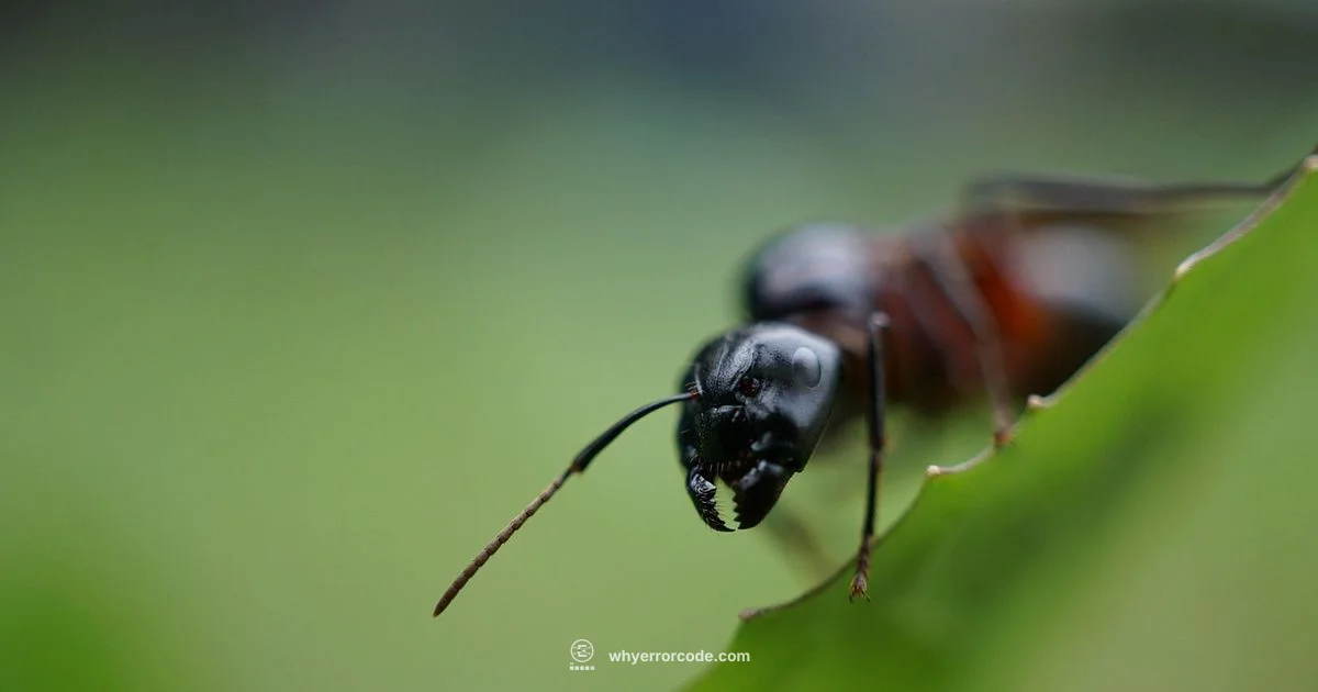 Sensor Fix Guide - Why Error Code