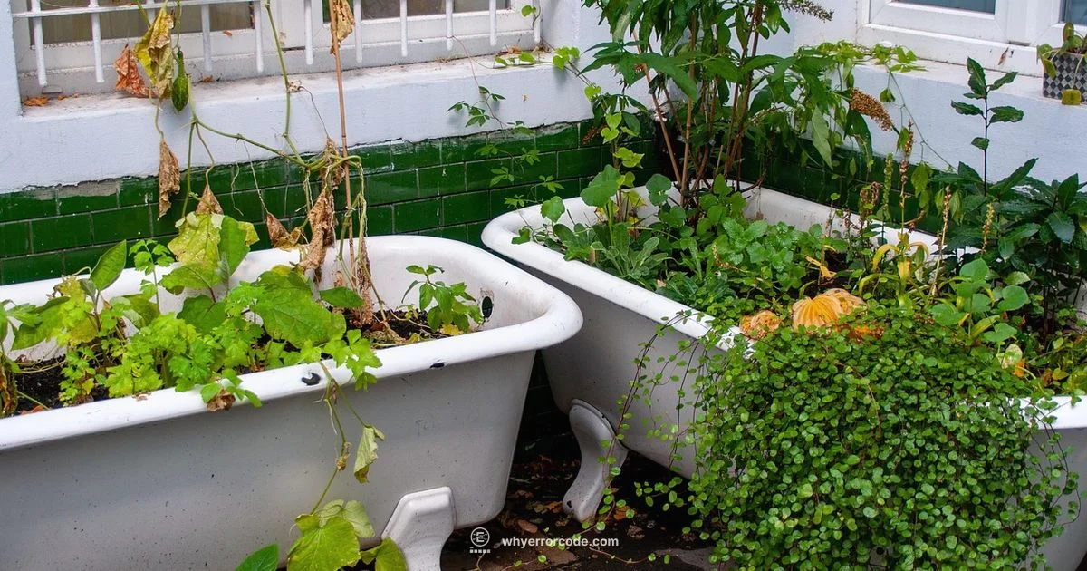 Saluspa Error 2 - Why Error Code