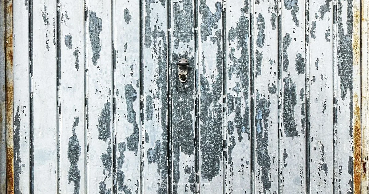 F1 Troubleshooting Guide - Why Error Code