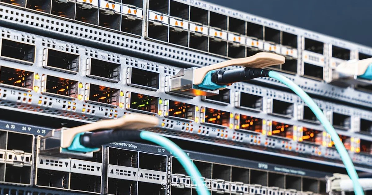 Server Connection Fix Server Connection Fix - Why Error Code