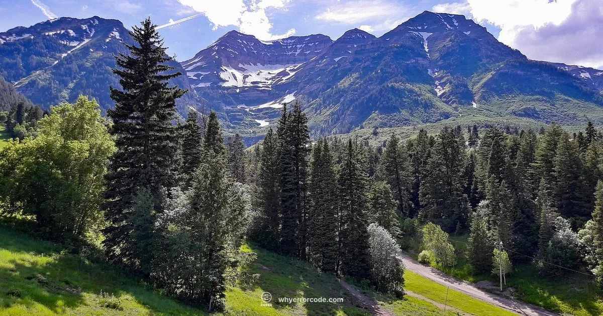 Sundance FL1 Troubleshoot - Why Error Code