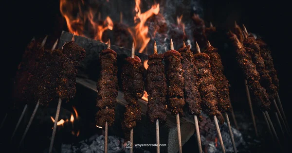 Grill Error Fix - Why Error Code