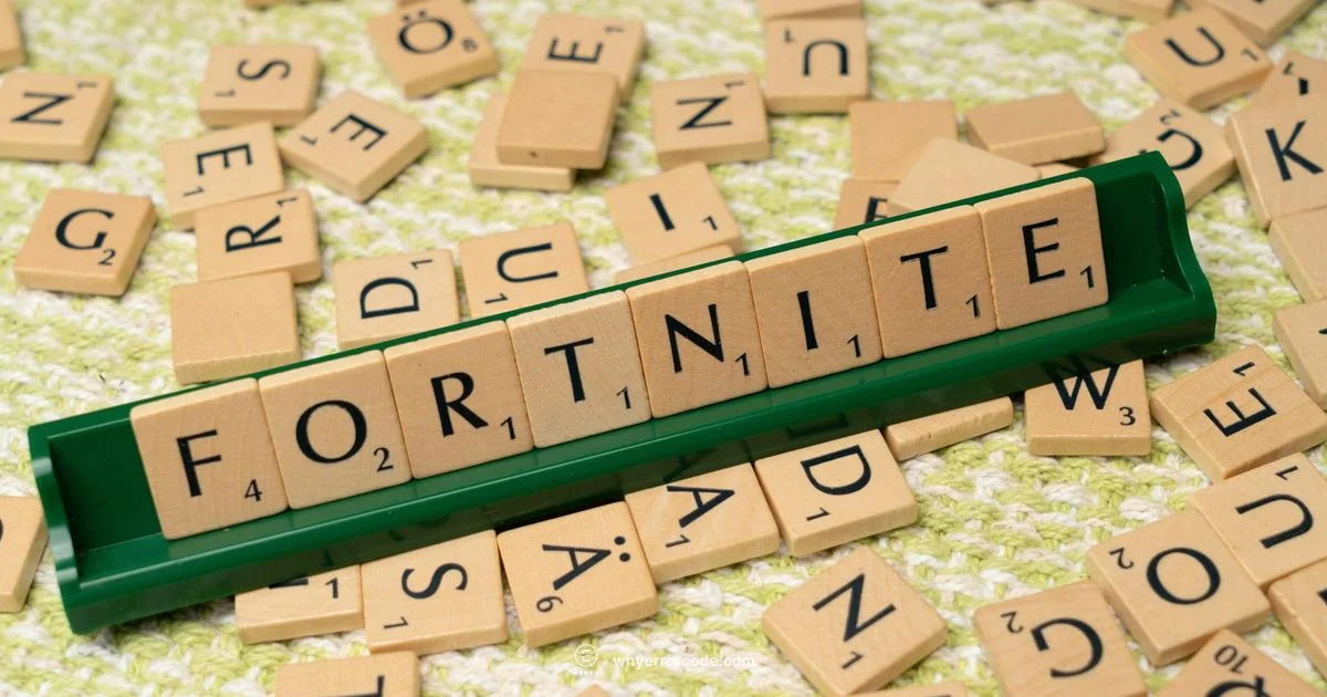 DS01 Fortnite Fix - Why Error Code