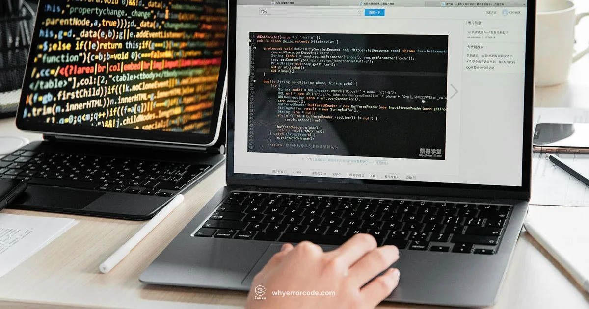 VS Code Interpreter Fix - Why Error Code
