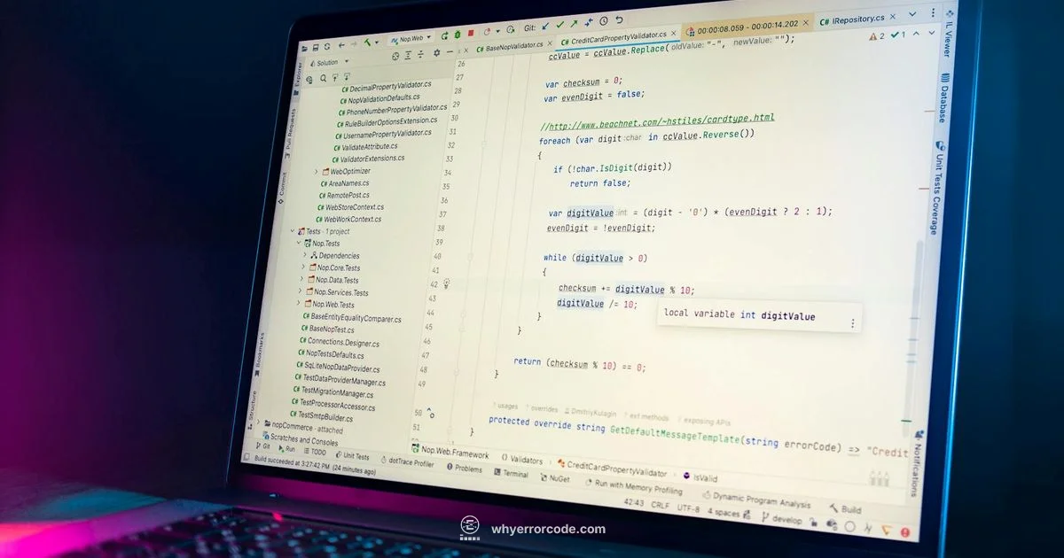 Error Lens Guide - Why Error Code
