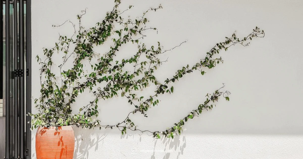 Error Creeper - Why Error Code