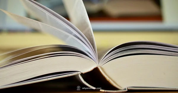 Logic Error Debugging - Why Error Code