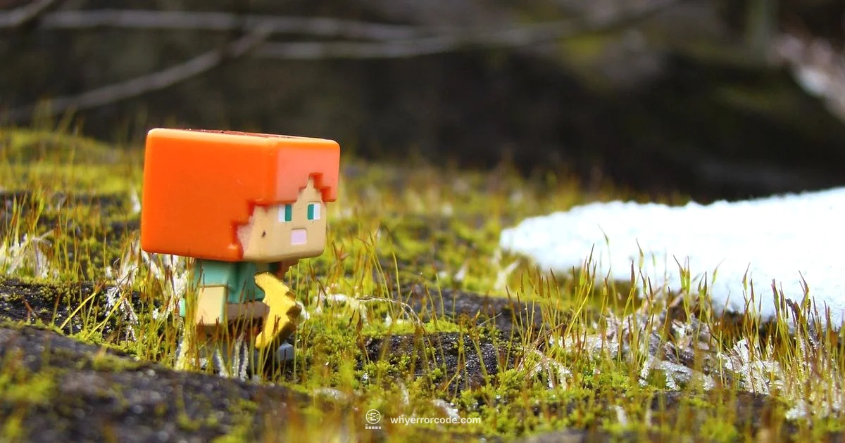 Error C-0010 Fix - Why Error Code