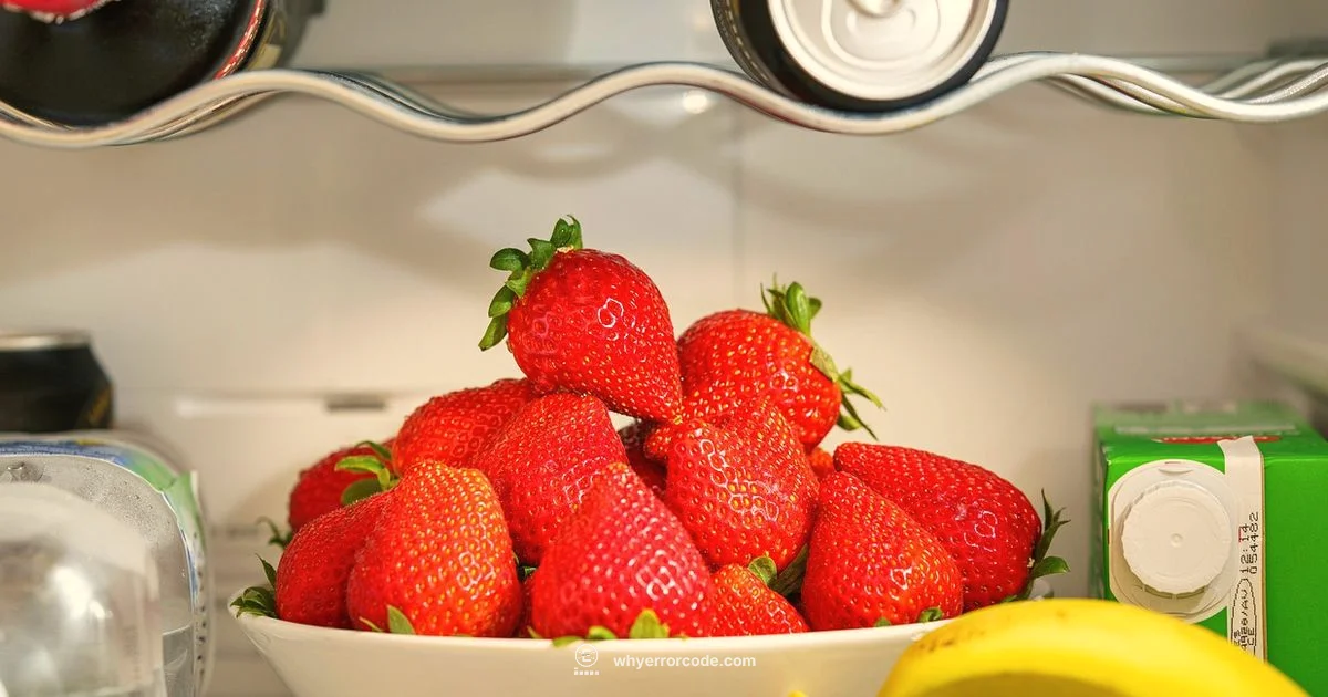 Error Codes Guide Error Codes Guide - Why Error Code